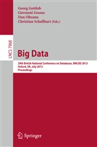 Geor Gottlob, Georg Gottlob, Dan Olteanu, Christian Schallhart - Big Data