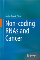 Mulle Fabbri, Muller Fabbri - Non-coding RNAs and Cancer