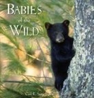 Carl R Sams, Carl R. Sams, Jean Stoick, Sams R. Sams - Babies of the Wild