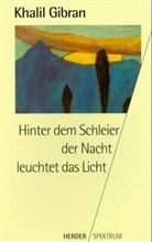 Khalil Gibran - Hinter dem Schleier der Nacht leuchtet das Licht