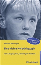 Andreas Mehringer - Eine kleine Heilpädagogik