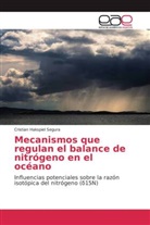 Cristian Hakspiel Segura - Mecanismos que regulan el balance de nitrógeno en el océano