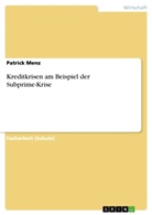 Patrick Menz - Kreditkrisen am Beispiel der Subprime-Krise