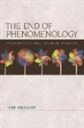 Tom Sparrow, Sparrow Tom - End of Phenomenology