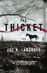 Joe R. Lansdale, Joe Weber, Will Collyer, Be Announced To - The Thicket (Hörbuch)