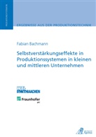 Fabian Bachmann - Selbstverstärkungseffekte in Produktionssystemen in kleinen und mittleren Unternehmen