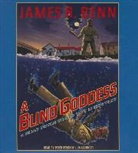 James R. Benn, Peter Berkrot, Be Announced To - A Blind Goddess (Hörbuch)