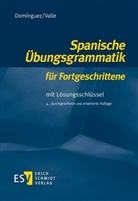 Domíngue, Jose M. Dominguez, José Marí Domínguez, José María Domínguez, Valle, Miguel Valle... - Spanische Übungsgrammatik für Fortgeschrittene