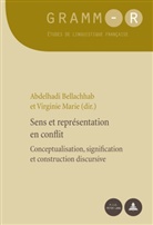 Abdelhadi Bellachhab, Virginie Marie - Sens et représentation en conflit