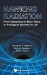Francesco D Belgiorno, Francesco D. Belgiorno, Sergio L Cacciatori, Sergio L. Cacciatori, Daniele Faccio, Sergio L Cacciato Francesco D Belgiorno - HAWKING RADIATION