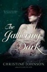 Christine Johnson - The Gathering Dark