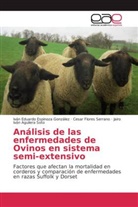 Jairo Iván Aguilera Soto, Iván Eduard Espinoza González, Iván Eduardo Espinoza González, Cesar Flo Serrano, Cesar Flores Serrano - Análisis de las enfermedades de Ovinos en sistema semi-extensivo