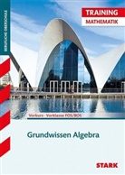 Volker Altrichter, Volker (Dr.) Altrichter - Grundwissen Algebra