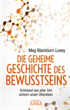 Meg Blackburn Losey, Meg Blackburn Losey - Die Geheime Geschichte des Bewusstseins