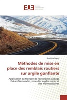 Ibrahima Ngom, Ngom-I - Methodes de mise en place des
