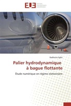 Radhoine Sghir, Sghir-r - Palier hydrodynamique a bague