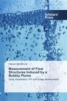 Hassan Abdulmouti - Measurement of Flow Structures Induced by a Bubbly Plume