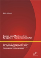 Edyta Schmidt, Edyta M. Schmidt - Lernen nach Montessori im Spiegel der Neurowissenschaften