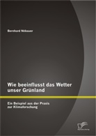Bernhard Nöbauer - Wie beeinflusst das Wetter unser Grünland