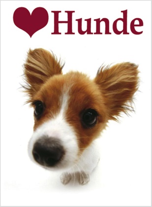 Helen Exley, Yoneo Morita - Ich liebe Hunde Minibuch im Schuber