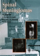 P. Conti, F. Lo Re, A. Pansini - Spinal Meningiomas