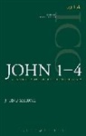 John F McHugh, John F. McHugh, Revd Canon John F McHugh, Graham I Davies, Graham I. Davies, Christopher M Tuckett... - John 1-4 (ICC)