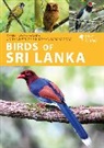 Uditha Hettige, Deepal Warakagoda, Deepal Hettige Warakagoda, H Warakagoda, Himesha Warakagoda, Warakagoda Deepal - Birds of Sri Lanka