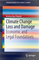 Pinninti Krishna Rao, Krishna Rao Pinninti, Pinninti Krishna Rao - Climate Change Loss and Damage