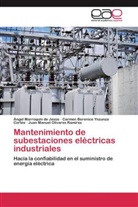 Ange Marroquin De Jesus, Angel Marroquin De Jesus, Juan Manuel Olivares Ramirez, Carmen B Ynzunza Cortés, Carmen Berenice Ynzunza Cortés - Mantenimiento de subestaciones eléctricas industriales