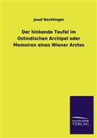 Josef Bechtinger - Der hinkende Teufel im Ostindischen Archipel oder Memoiren eines Wiener Arztes