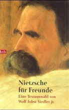 Friedrich Nietzsche - Nietzsche für Freunde