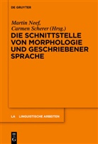 Nee, Marti Neef, Martin Neef, Schere, Scherer, Scherer... - Die Schnittstelle von Morphologie und geschriebener Sprache