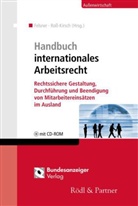Marcus Felsner, Nadja Roß-Kirsch, Felsne, Marcu Felsner, Marcus Felsner, Ross-Kirsc... - Handbuch internationales Arbeitsrecht, m. CD-ROM
