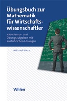 Michael Merz - Übungsbuch zur Mathematik für Wirtschaftswissenschaftler