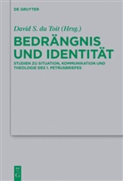 Davi du Toit, David Du Toit - Bedrängnis und Identität