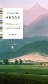 Hermann Hesse - Narziss en Goldmund