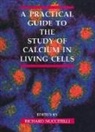 American Society for Cell Biology, Paul T Matsudaira, Paul T. Matsudaira, Richard Nuccitelli, Leslie Wilson - Practical Guide to the Study of Calcium in Living Cells