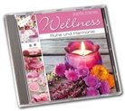 Various, media Verlagsgesellschaft mbH - Wellness - Ruhe und Harmonie, 1 Audio-CD (Audio book)