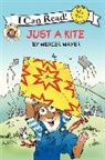 Mercer Mayer, Mercer/ Mayer Mayer, Mercer Mayer - Little Critter: Just a Kite