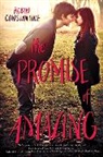 Robin Constantine - The Promise of Amazing