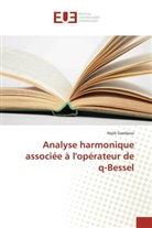 Nejib Saadaoui, Saadaoui-n - Analyse harmonique associee a l