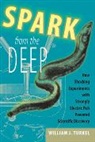 William J Turkel, William J. Turkel, William J. (Associate Professor of History Turkel, William J. (Professor of History Turkel - Spark From the Deep