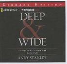 Andy Stanley, Tom Parks - Deep & Wide: Creating Churches Unchurched People Love to Attend (Audio book)