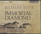 Richard Rohr, Kevin Pierce, Kevin Pierce - Immortal Diamond: The Search for Our True Self (Audio book)