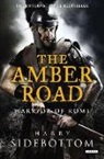 Harry Sidebottom - The Amber Road