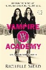 Richelle Mead - Vampire Academy