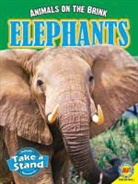 Karen Dudley - Elephants