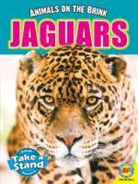 E Melanie Watt, E Melanie Watt, E. Melanie Watt - Jaguar