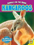 Patricia Miller-Schroeder - Kangaroos