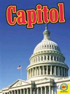 Lyn Sirota, Lyn A. Sirota - Capitol